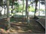 IRBKolbPark17