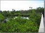 IRB Nature Preserve26